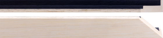 16590350 16590350